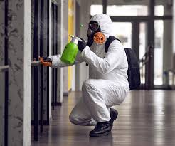 Best Biohazard Mold Removal  in Fair Lakes, VA